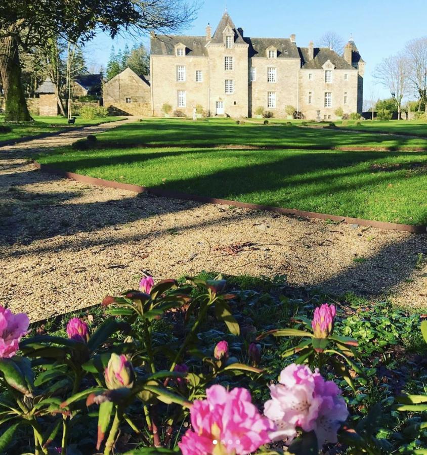 Chateau De Cadouzan Saint-Dolay Exterior photo